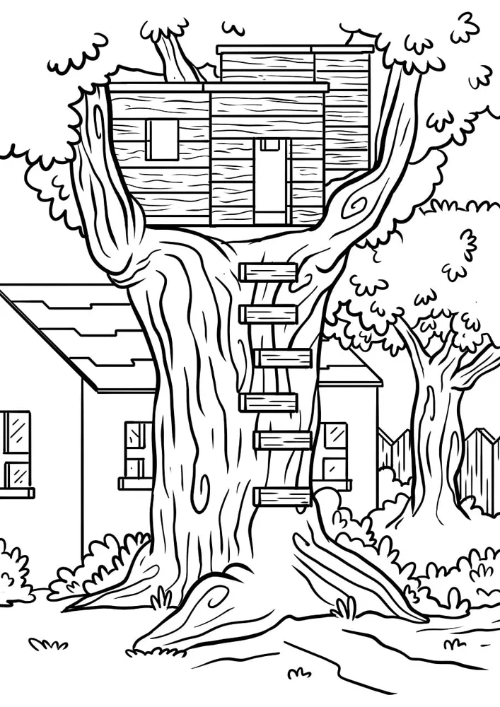 History Activity Workbook